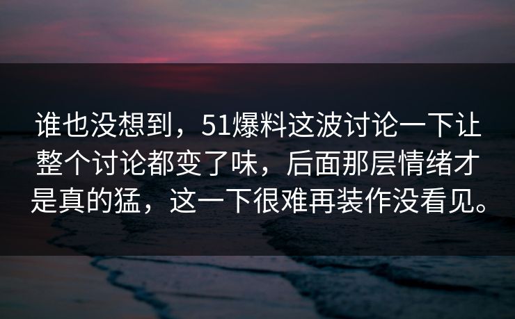 谁也没想到，51爆料这波讨论一下让整个讨论都变了味，后面那层情绪才是真的猛，这一下很难再装作没看见。