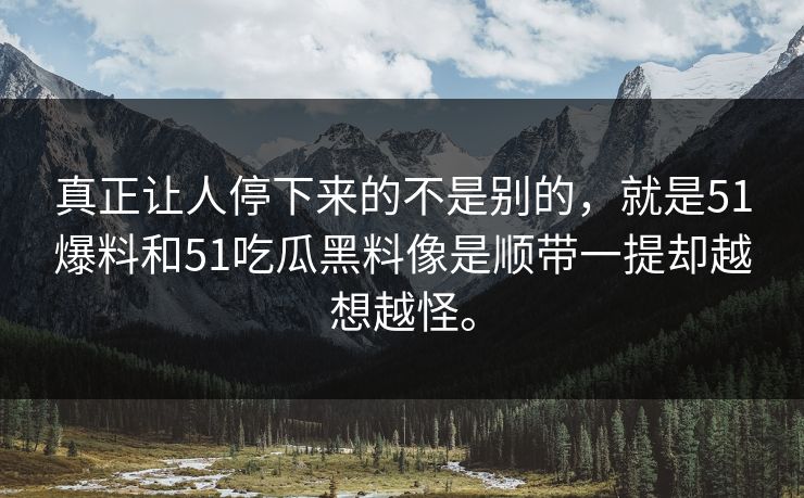 真正让人停下来的不是别的，就是51爆料和51吃瓜黑料像是顺带一提却越想越怪。  第1张