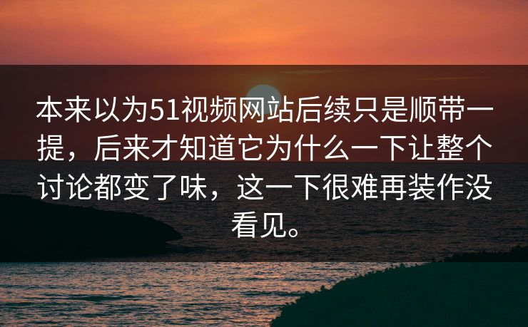 本来以为51视频网站后续只是顺带一提，后来才知道它为什么一下让整个讨论都变了味，这一下很难再装作没看见。