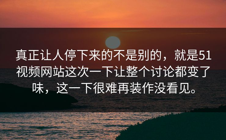真正让人停下来的不是别的，就是51视频网站这次一下让整个讨论都变了味，这一下很难再装作没看见。
