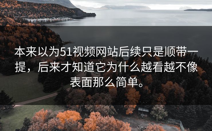 本来以为51视频网站后续只是顺带一提，后来才知道它为什么越看越不像表面那么简单。