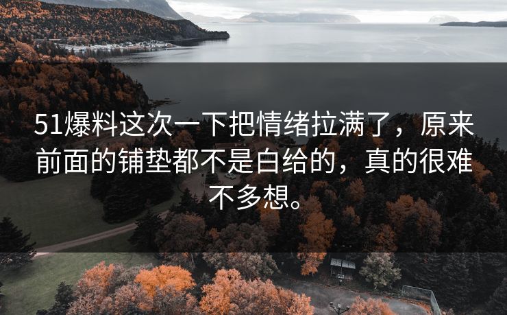 51爆料这次一下把情绪拉满了，原来前面的铺垫都不是白给的，真的很难不多想。