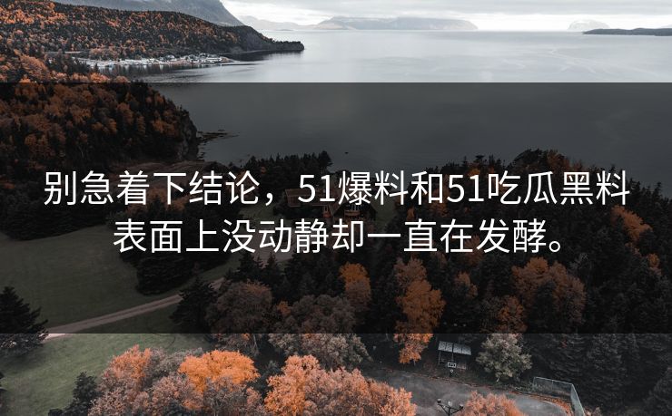别急着下结论，51爆料和51吃瓜黑料表面上没动静却一直在发酵。