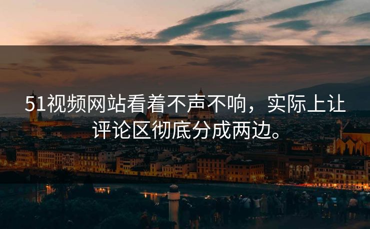 51视频网站看着不声不响，实际上让评论区彻底分成两边。